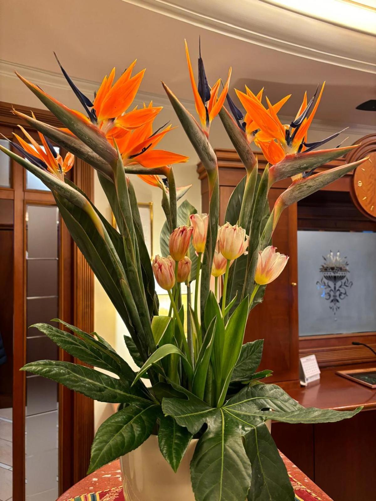 Hotel Valle Rossa San Giovanni Rotondo Eksteriør billede
